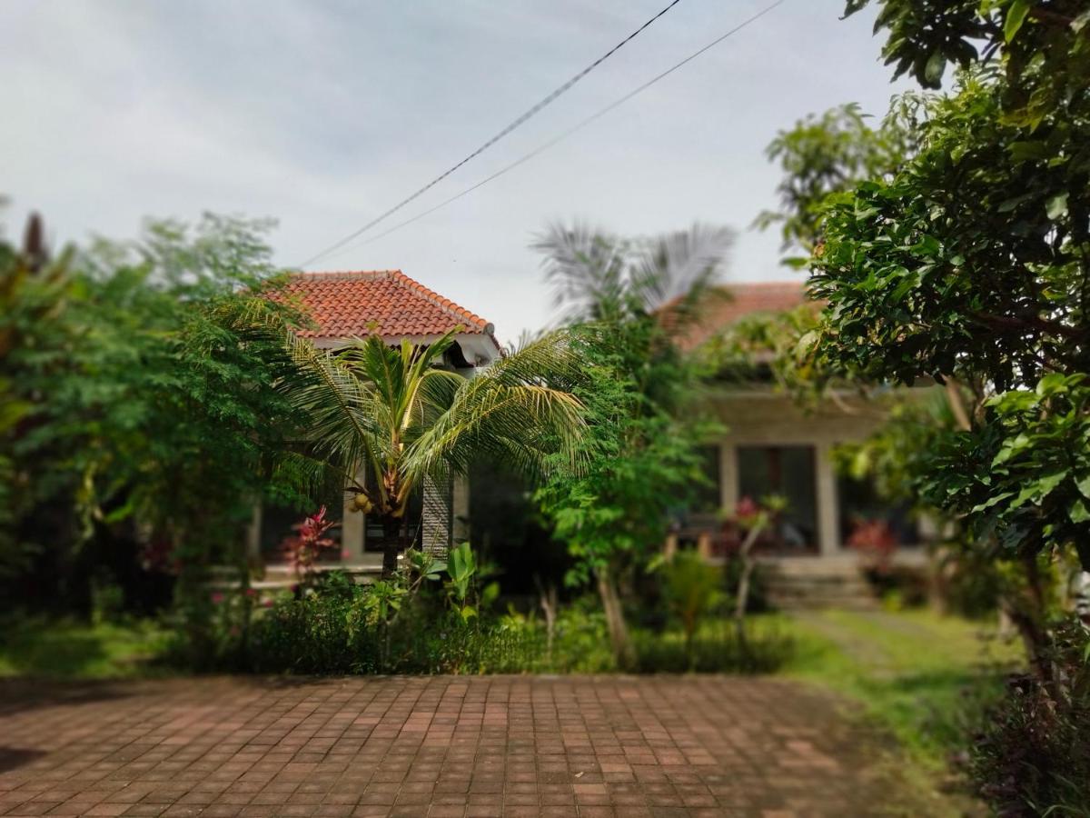 Pier26 Bali Homestay Nusa Dua  Buitenkant foto