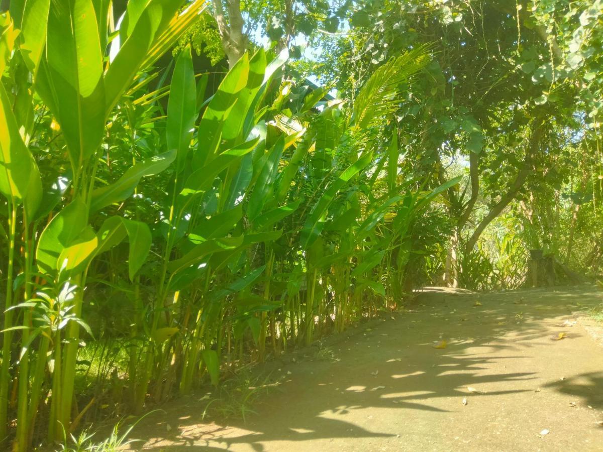 Pier26 Bali Homestay Nusa Dua  Buitenkant foto