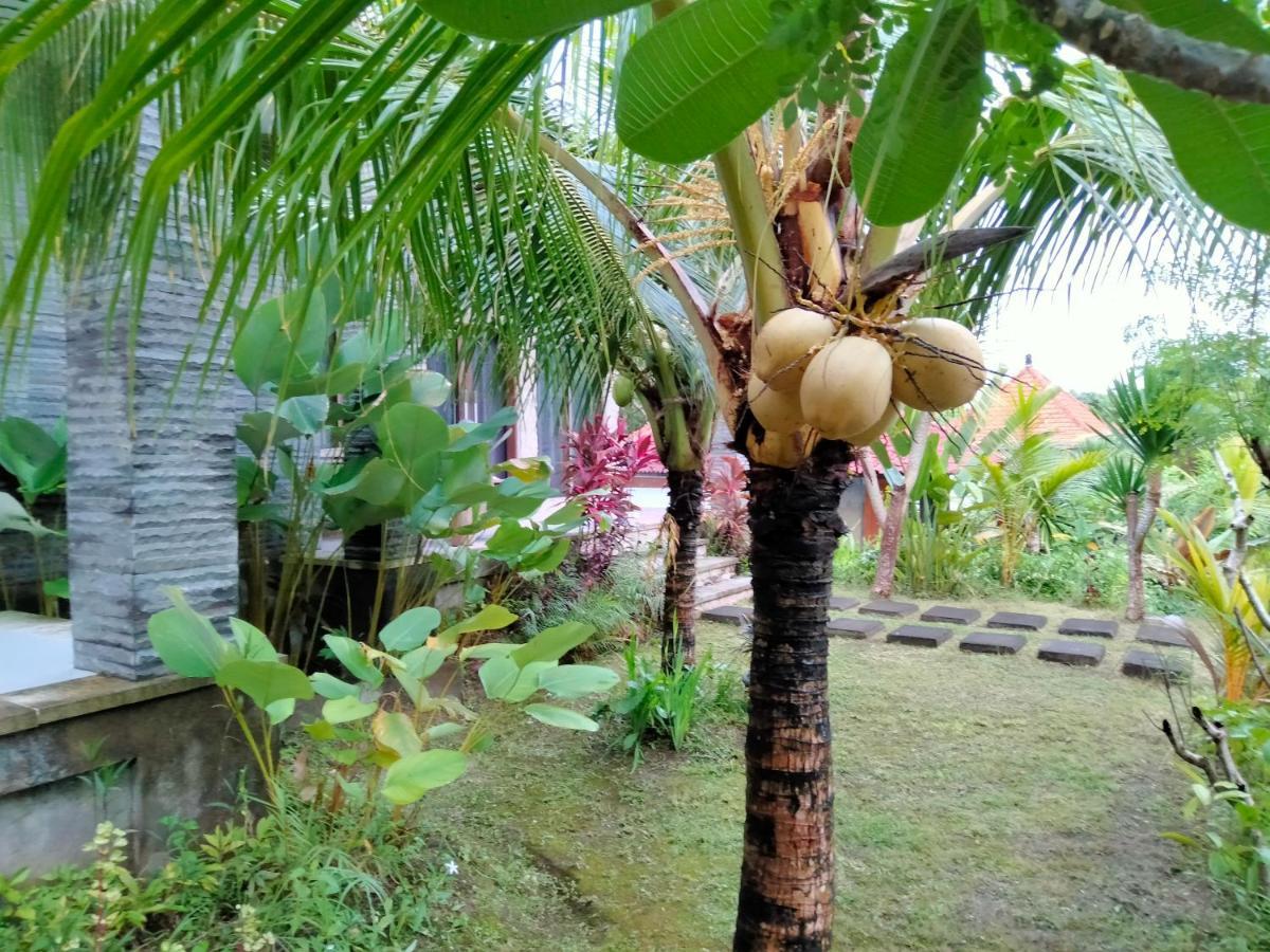 Pier26 Bali Homestay Nusa Dua  Buitenkant foto