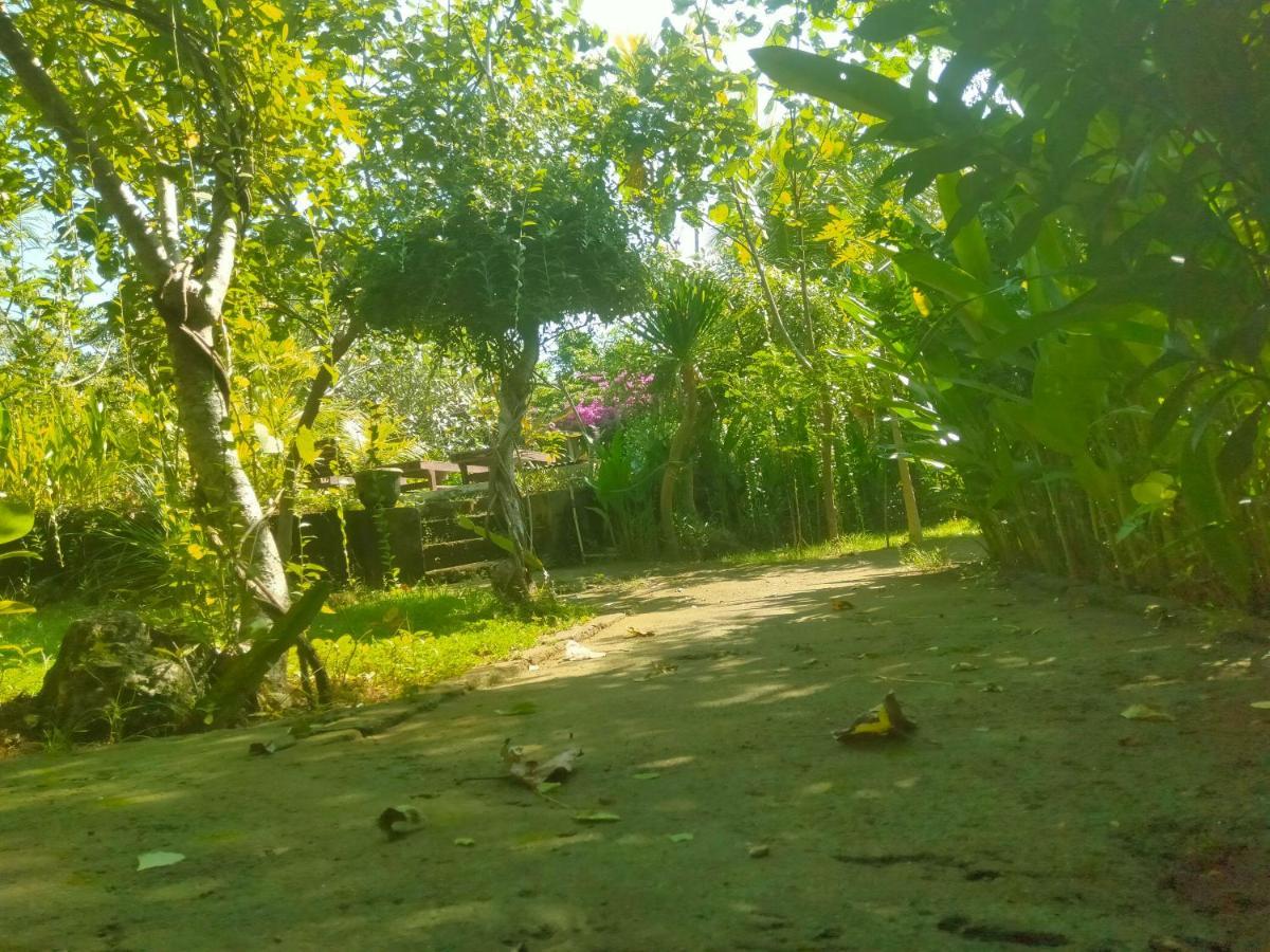 Pier26 Bali Homestay Nusa Dua  Buitenkant foto
